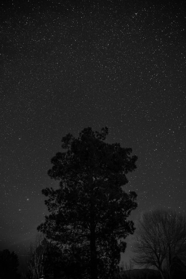 dark web websites 2024