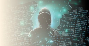 search darknet markets