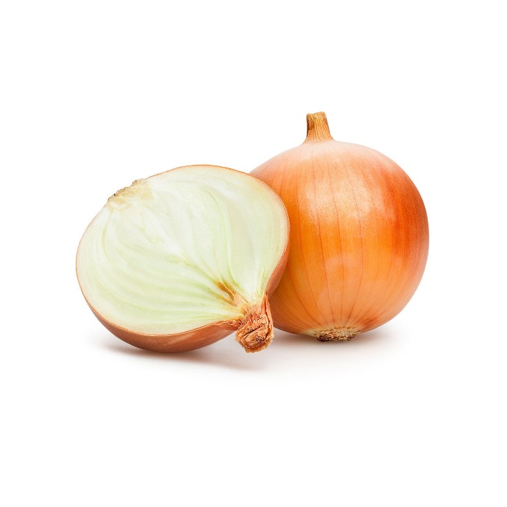 onion links credit card
