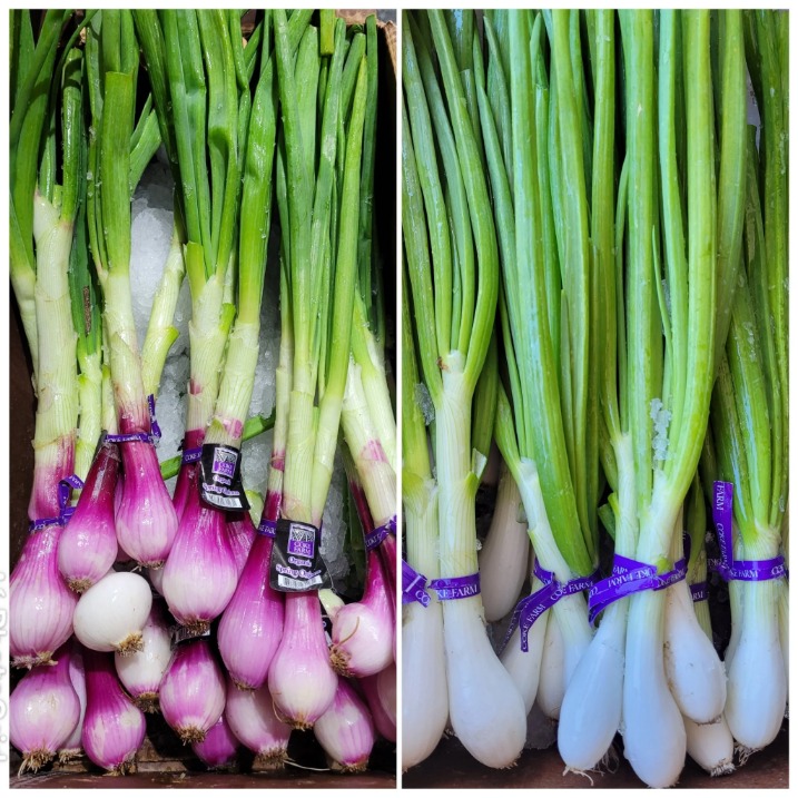 onion links credit card
