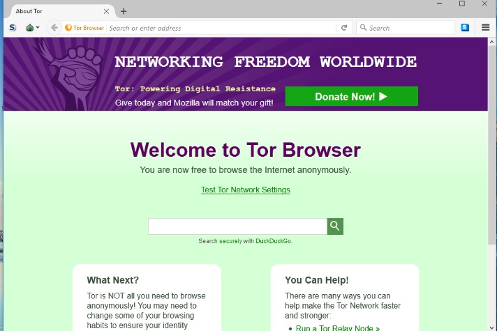 how to access the darknet