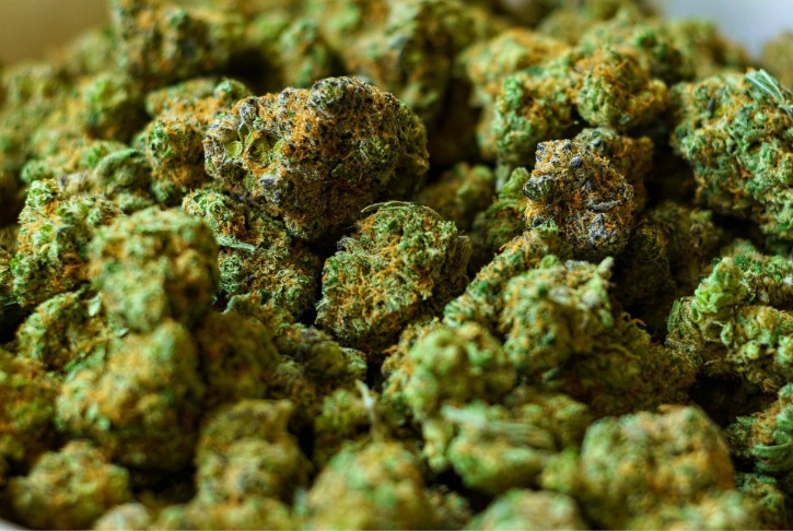 weed darknet market