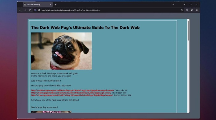 how to access the dark web safely
