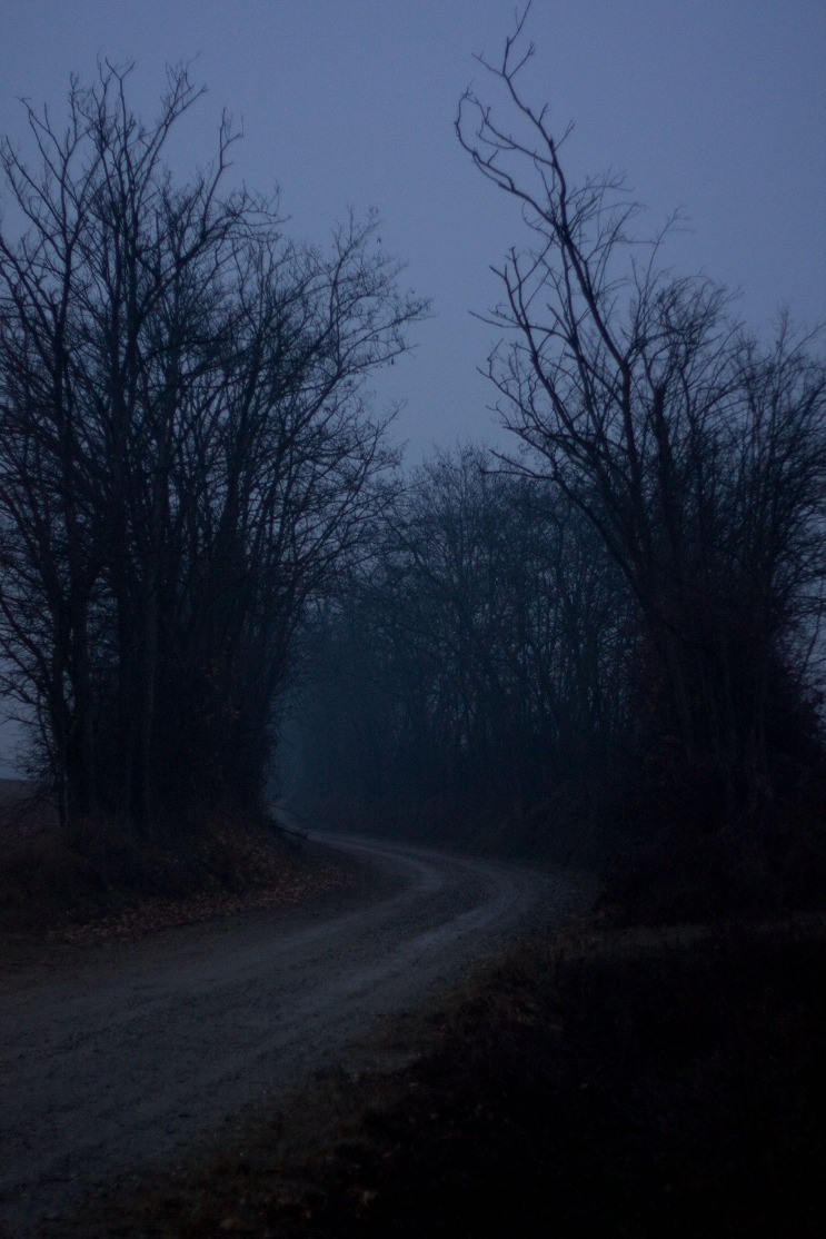 dark web market urls