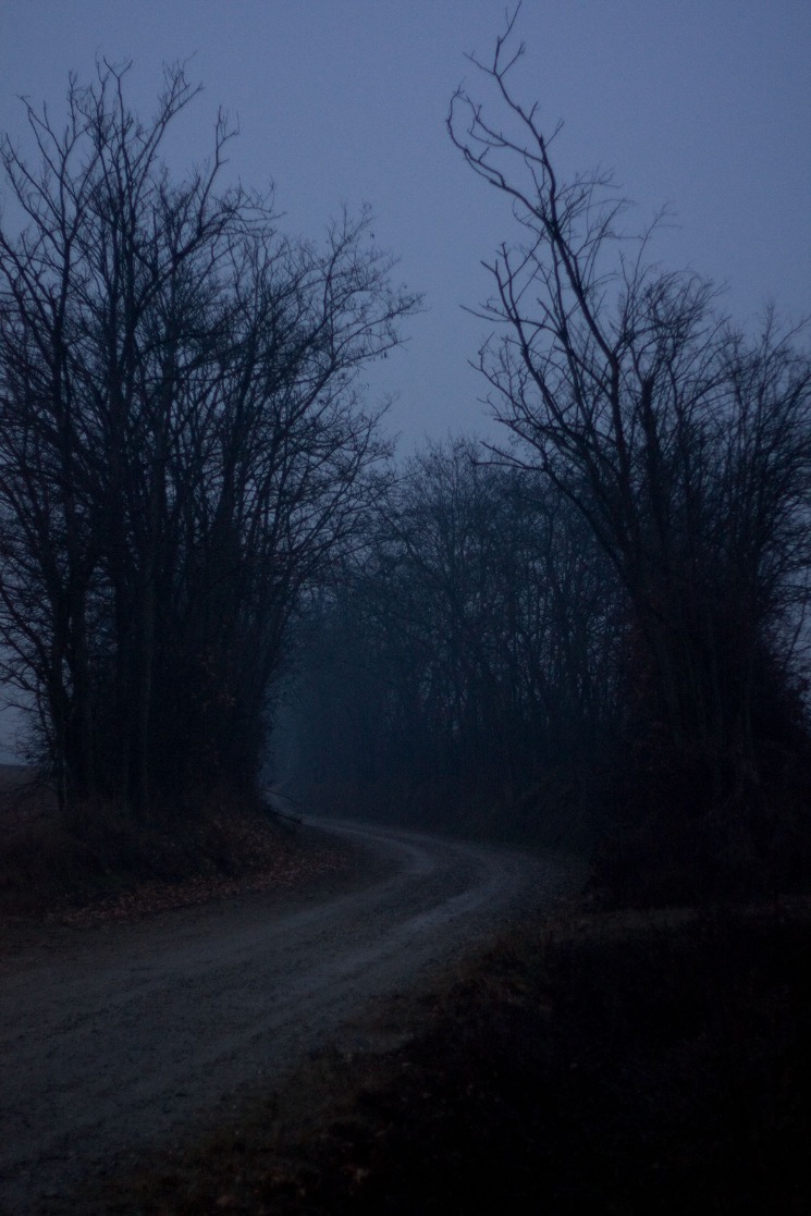 dark web market place links