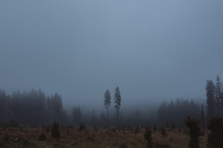 dark web links reddit