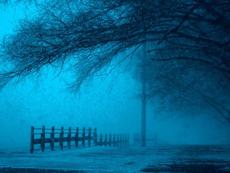 dark net market links 2023