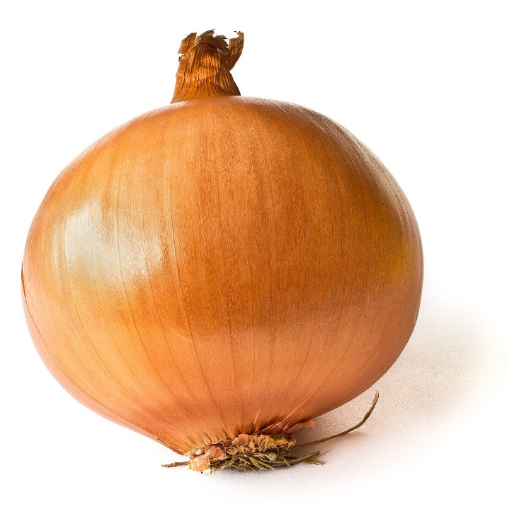 onion darknet market