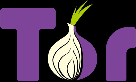 tor search engine link