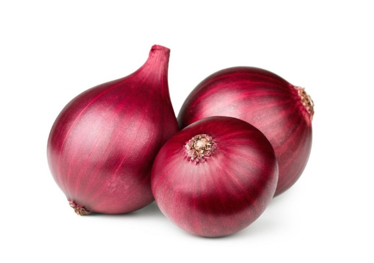 onion directory list
