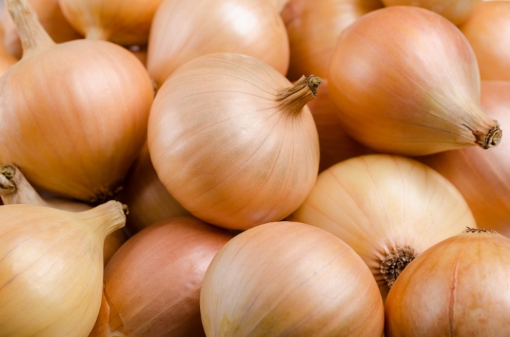 onion directory