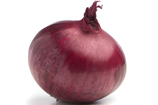 onion dark web