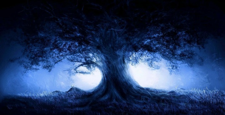 dark web drug market 2025