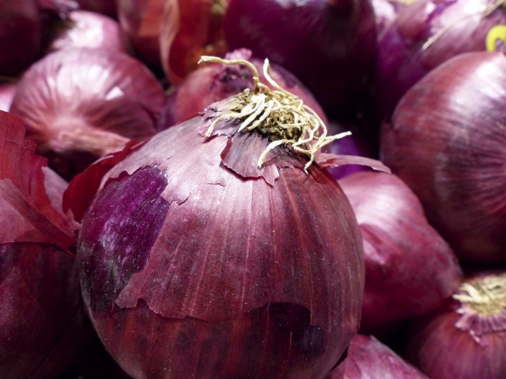 onion links sites