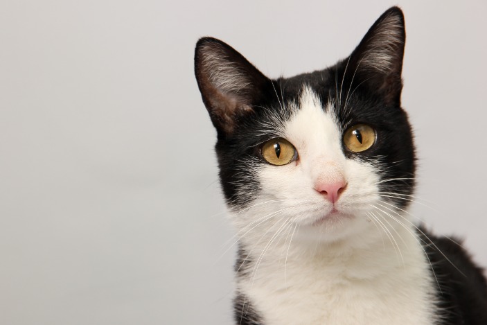 black market prescription drugs