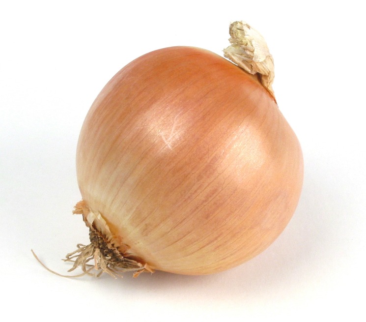 the onion directory