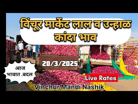 live onion market