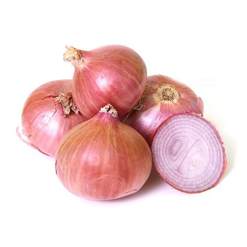 onion directory list