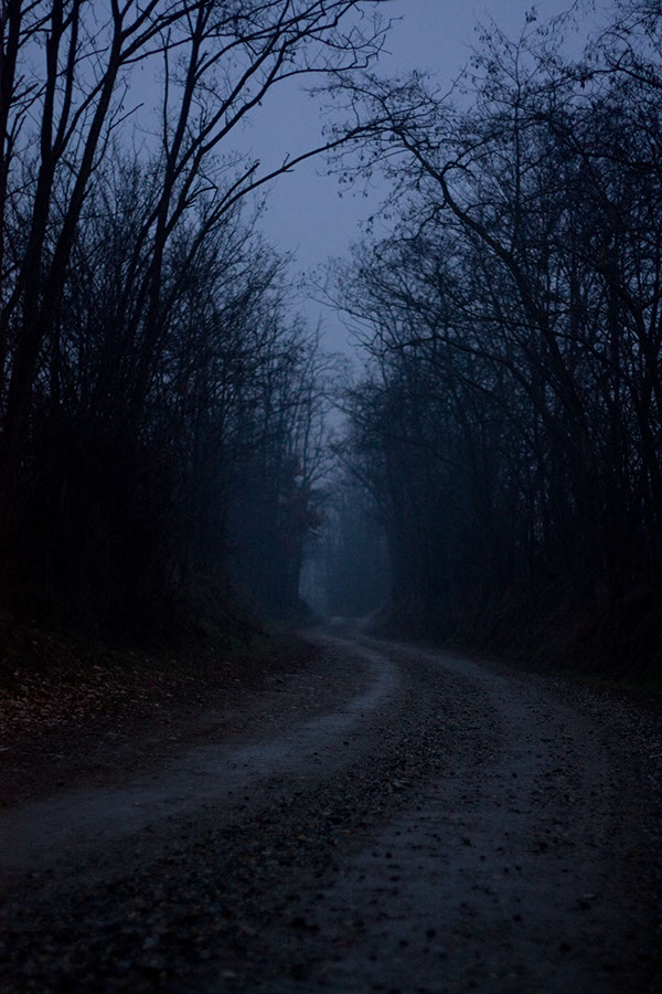 dark markets bolivia