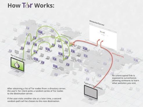 dark web tor