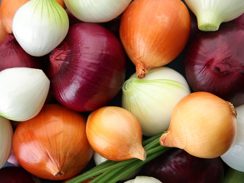 onion directory 2025