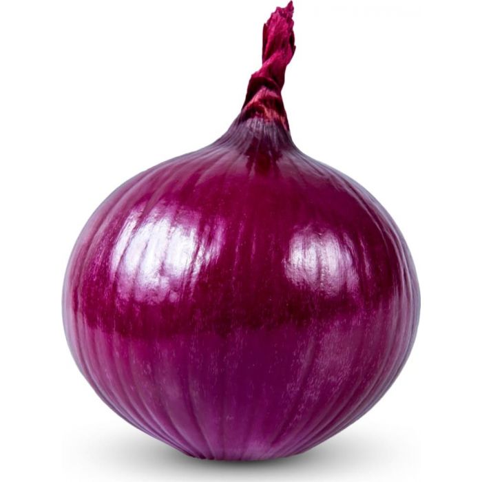 onion dark website